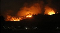Hà Tĩnh: Rừng tại Hương Sơn lại cháy, sơ tán dân khẩn cấp trong đêm