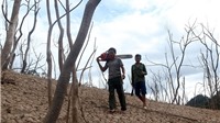 Rừng cây khô trồi lên tua tủa dưới lòng hồ thủy điện lớn nhất Bắc Trung Bộ
