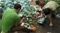Tiêu hủy hơn 15.000 chai/lon nước yến xâm phạm quyền tại Gia Lai