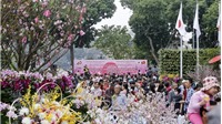 Ngày 29-3, khai mạc Lễ hội hoa anh đào Nhật Bản - Hà Nội 2019