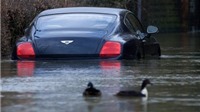 Những việc cần làm ngay khi xe ô tô bị ngập nước