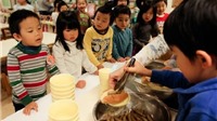 Trong các trường mầm non ở Nhật Bản, trẻ em được học những gì? 