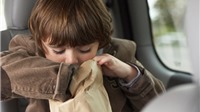 10 mẹo hay giúp trẻ em không bị say tàu say xe trong những chuyến chơi xa