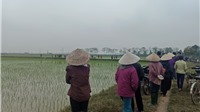 Bài 8: Vụ "bất cập" tại dự án nghĩa trang huyện Thanh Oai: Nhanh chóng thanh tra, đình chỉ dự án!