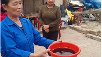 Hiện tượng chưa từng xảy ra ở Thanh Hoá: Hàng trăm giếng nước bỗng nhiên trơ đáy
