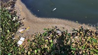 Đà Nẵng: Nước sông Hàn ô nhiễm do nước thải từ các nhà hàng