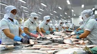 Thuế chống bán phá giá với cá tra của Việt Nam đã được điều chỉnh giảm