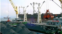TKV sẽ xuất khẩu 2 triệu tấn than trong năm 2019