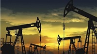 Giá dầu thô đồng loạt giảm mạnh