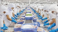 Doanh nghiệp thủy sản đóng góp ý kiến về các vấn đề hợp đồng xuất khẩu