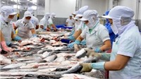 Người Nhật đã “mở lòng” đón nhận cá tra Việt Nam