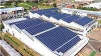88 nhà máy điện mặt trời sẽ vận hành vào cuối tháng 6 tới