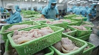 33 mặt hàng thủy, hải sản của Việt Nam được Trung Quốc miễn thuế