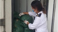Nghệ An:  Bắt xe tải chở 2 tấn lòng lợn bốc mùi thối