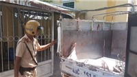 Đà Nẵng phát hiện xe chở lợn chết vào thành phố tiêu thụ