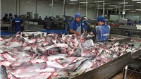 Thị trường Hàn Quốc còn xa lạ với cá tra Việt Nam