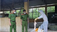 Lạng Sơn: Bắt giữ 6 tạ nầm lợn bốc mùi hôi thối