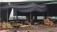 Hà Tĩnh: Cơ sở chế biến gỗ dăm trái phép ngang nhiên hoạt động trong khu dân cư