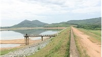Nghệ An: Hạn hán kéo dài, chủ tịch UBND tỉnh ra công điện cứu 15000 ha lúa