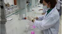 Việt Nam đã tạo được vaccine vô hoạt thế hệ mới phòng dịch tả lợn châu Phi bước đầu có kết quả tốt