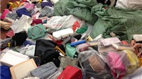 Lạng Sơn: Thu giữ lô hàng lớn túi xách giả nhãn hiệu Adidas và Nike