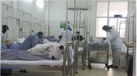Bộ Y tế gửi công văn khẩn phòng và điều trị bệnh sốt xuất huyết