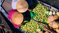 Mở rộng cơ hội xuất khẩu cho nông sản Việt
