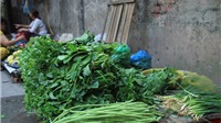 Hà Nội: Rau xanh tăng giá mạnh sau bão, tiểu thương lo lắng thiếu nguồn cung