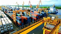 Đề xuất quản lý hoạt động thương mại điện tử đối với hàng hóa xuất nhập khẩu