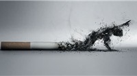 Hút thuốc lá có thể dẫn đến mắc bệnh tâm thần 