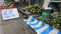 Trái cây Việt rớt giá thảm hại so với trái cây ngoại 