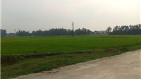 Công bố giá khởi điểm đấu giá đất khu vực Sóc Sơn, Hà Nội