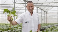 Rau “siêu sạch” VinEco được trồng như thế nào?