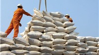 Việt Nam xuất khẩu 368 nghìn tấn gạo trong tháng 10