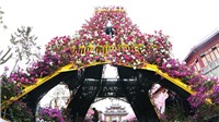Khai mạc Lễ hội “Kỳ quan muôn sắc hoa” lớn nhất miền Bắc tại Hạ Long