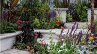 10 cách biến sân vườn nhỏ trước nhà trở nên đẹp lung linh