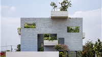 Nhà cho cây Binh House giành danh hiệu “Xây dựng Xanh của Năm 2017”