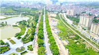Hà Nội: Cận cảnh đường Phạm Văn Đồng trước giờ chặt hạ hơn 1.000 cây xanh