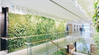 5 bức tường xanh góp phần nâng cao chất lượng công trình