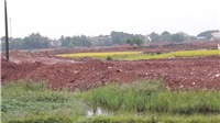 Dự án Khu đô thị Kosy Bắc Giang: “Vượt rào” rao bán cả đất ruộng?