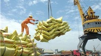 Bức tranh sáng cho xuất khẩu gạo nửa cuối năm 2022