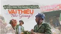 “Giải cứu nông sản” nhìn từ vải thiều Bắc Giang: Ai kêu mà cứu? 