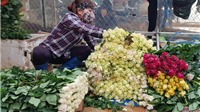 Sau hoa quả, rau củ, đến lượt Lâm Đồng kêu gọi “giải cứu” 100 triệu cành hoa tươi