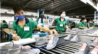 Da giày Việt Nam đạt 27 tỉ đô la kim ngạch xuất khẩu, tăng 30%