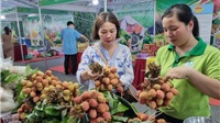 Tuần hàng trái cây, nông sản các tỉnh, thành tại Hà Nội mở cửa đến 28/5
