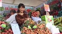 Hàng hóa Việt Nam ngày càng được ưa chuộng tại thị trường Nhật Bản