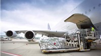 Tăng trưởng logistics hàng không nhờ các hiệp định thương mại