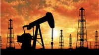Giá xăng dầu hôm nay: Giá dầu thế giới tăng ở mức cao