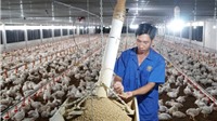 Hà Nội: Đưa chăn nuôi trở thành ngành kinh tế kỹ thuật hiện đại