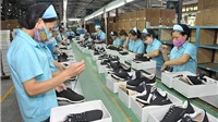 Ngành da giày Việt cần chủ động nguồn nguyên liệu trong sản xuất